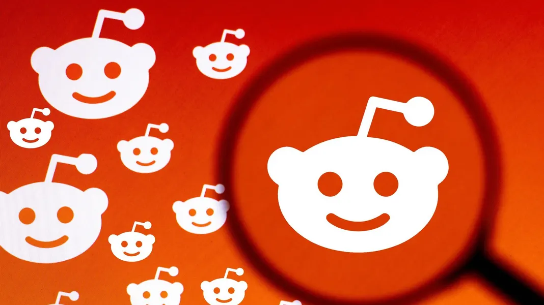 什麼是一次性 Reddit 帳戶?